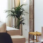 Tian Apartment